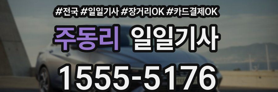 주동리 일일기사