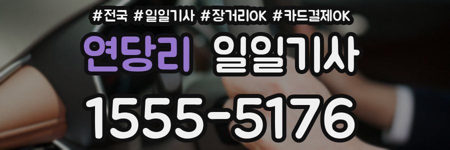 연당리 일일기사