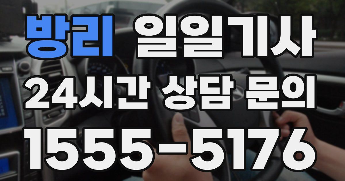 일일대리기사