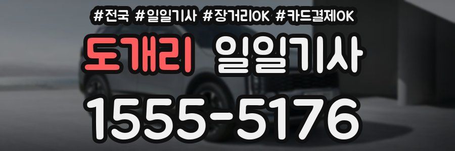 도개리 일일기사