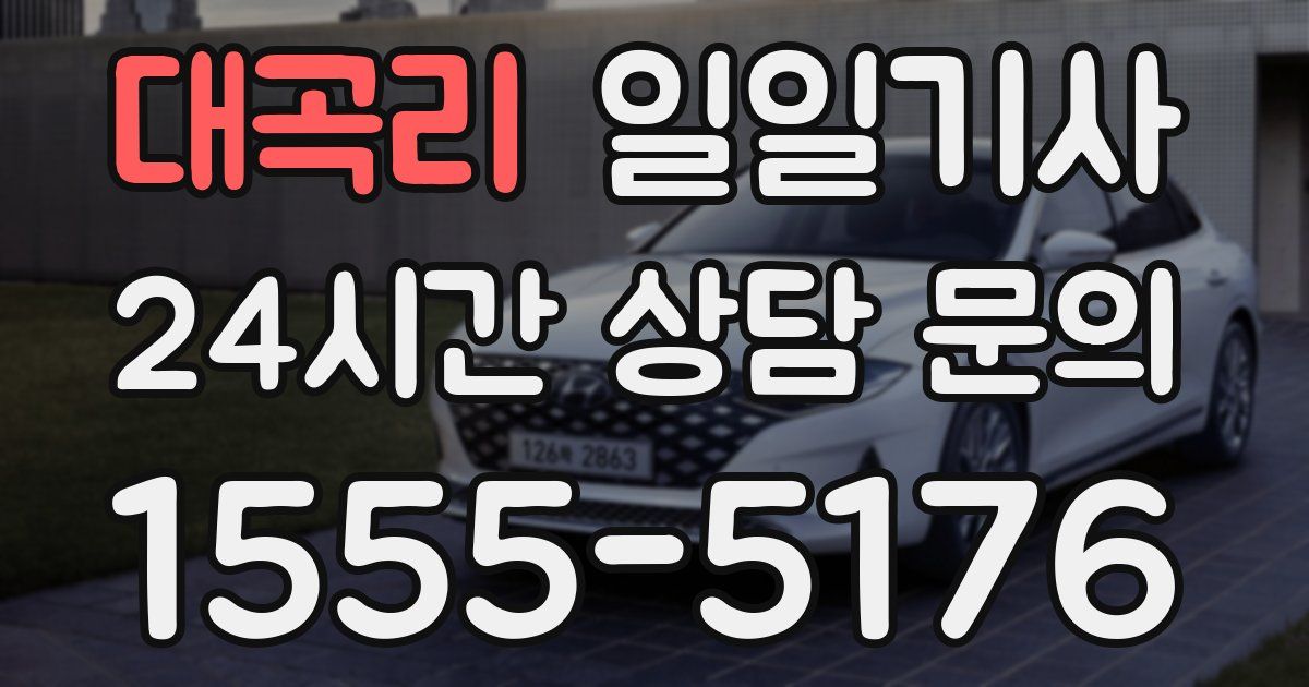 일일대리기사