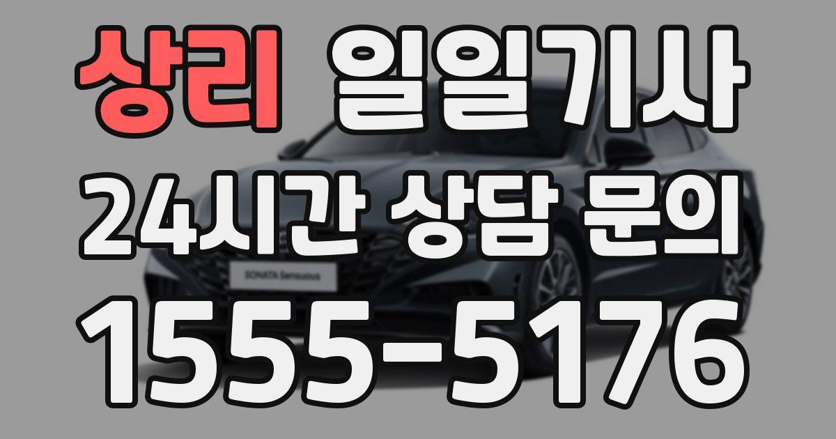 일일대리기사
