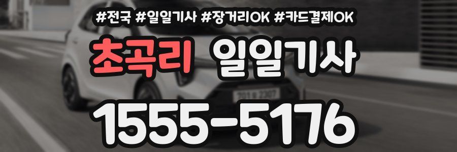 초곡리 일일기사