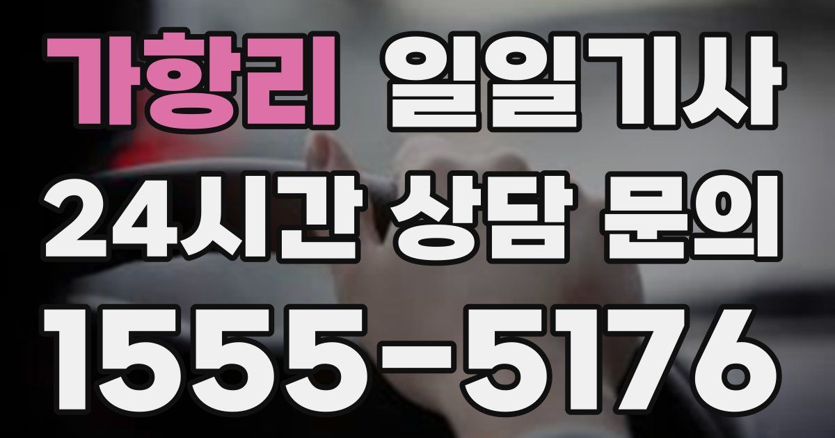 일일대리기사