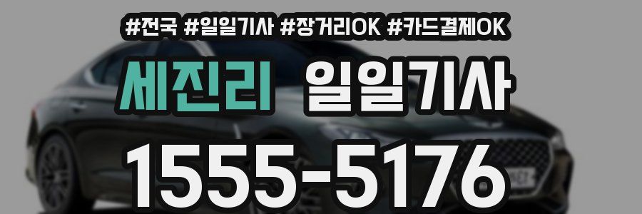 세진리 일일기사