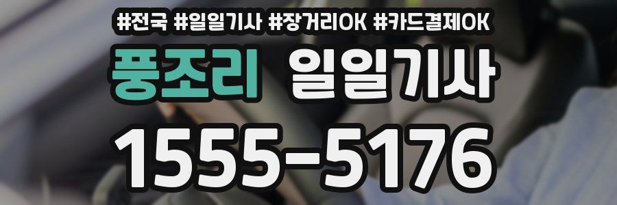 풍조리 일일기사