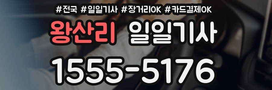 왕산리 일일기사