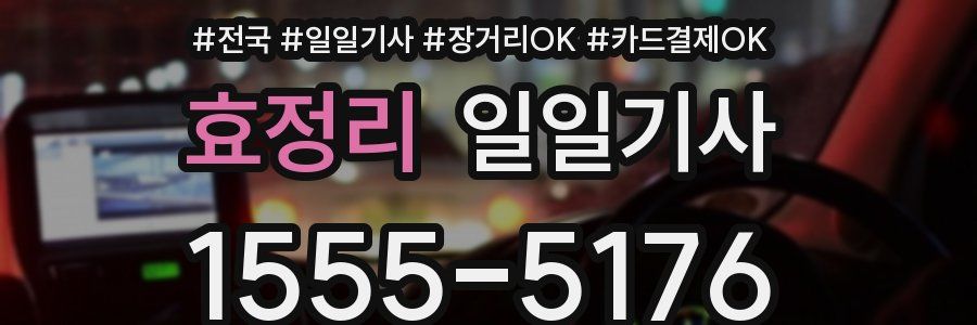 효정리 일일기사