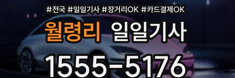 월령리 일일기사