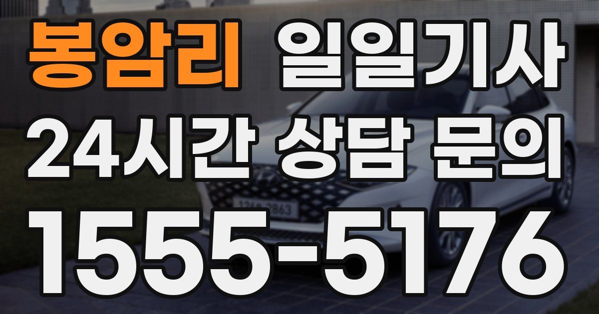 일일대리기사