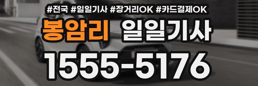 봉암리 일일기사