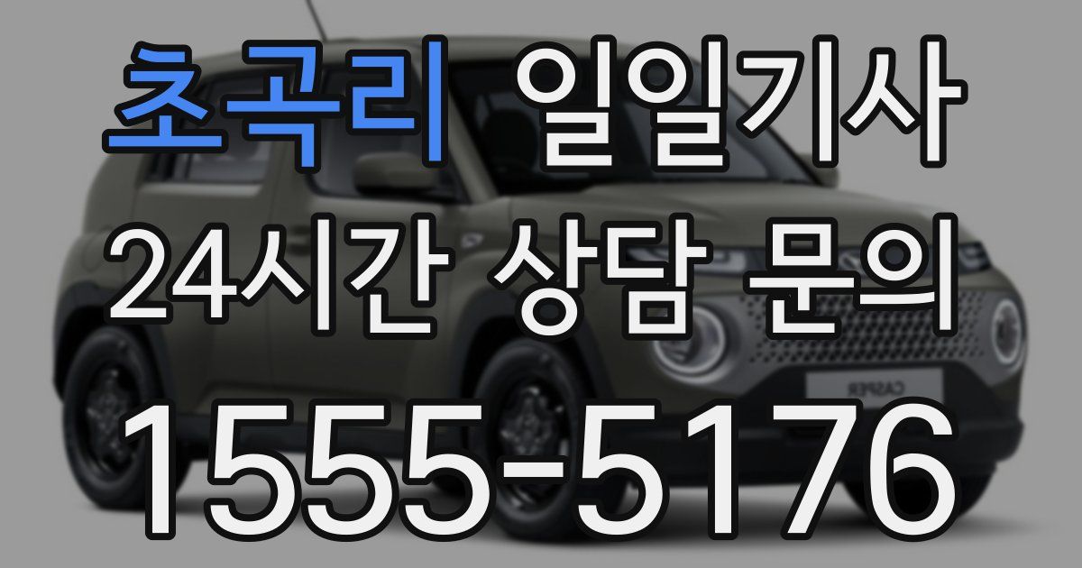 일일대리기사