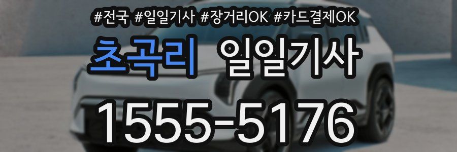 초곡리 일일기사