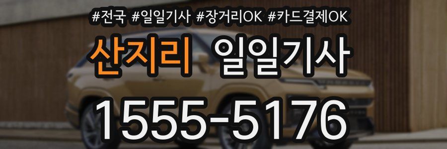 산지리 일일기사