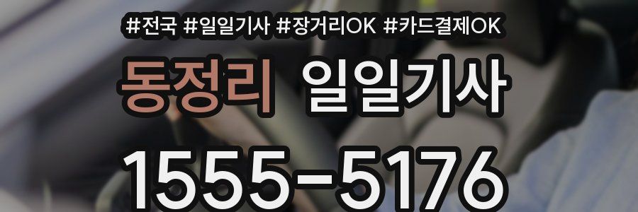 동정리 일일기사