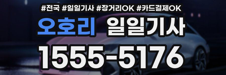 오호리 일일기사