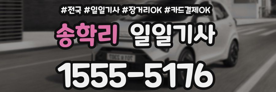 송학리 일일기사