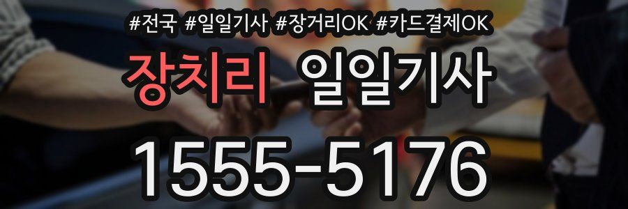 장치리 일일기사