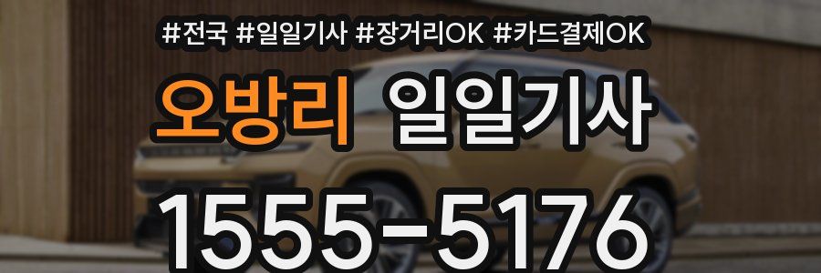 오방리 일일기사