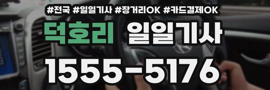 덕호리 일일기사