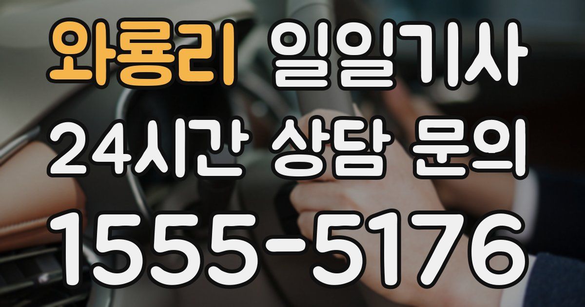일일대리기사