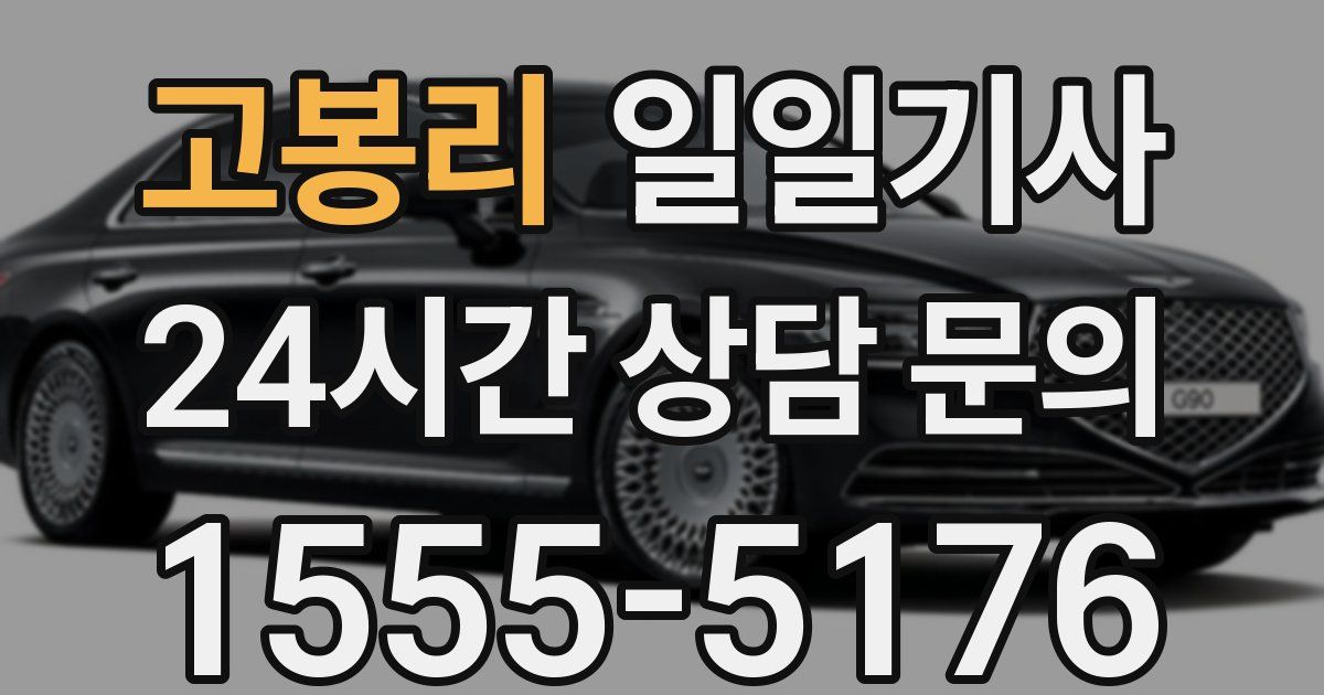 일일대리기사