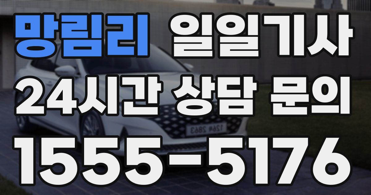 일일대리기사