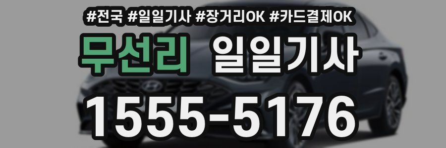 무선리 일일기사