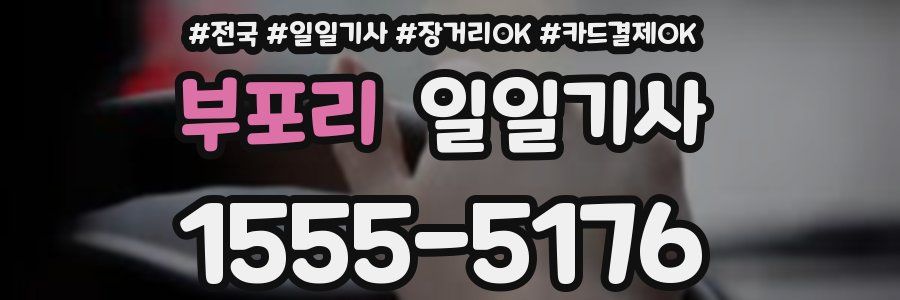 부포리 일일기사