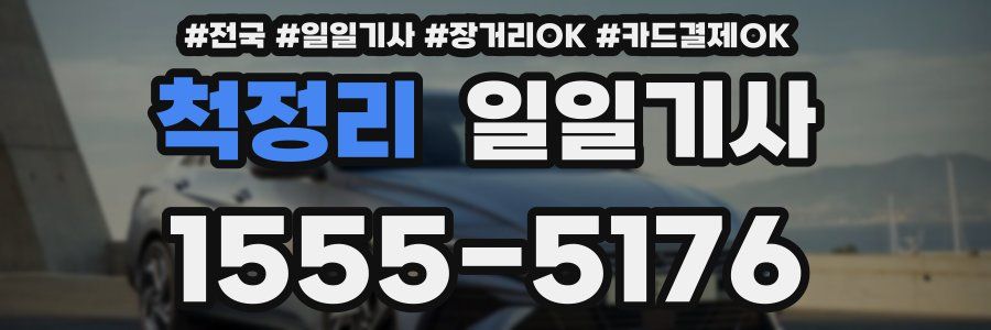 척정리 일일기사