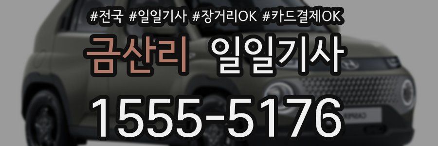 금산리 일일기사