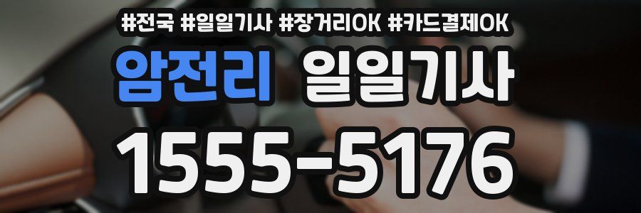 암전리 일일기사