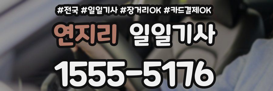 연지리 일일기사