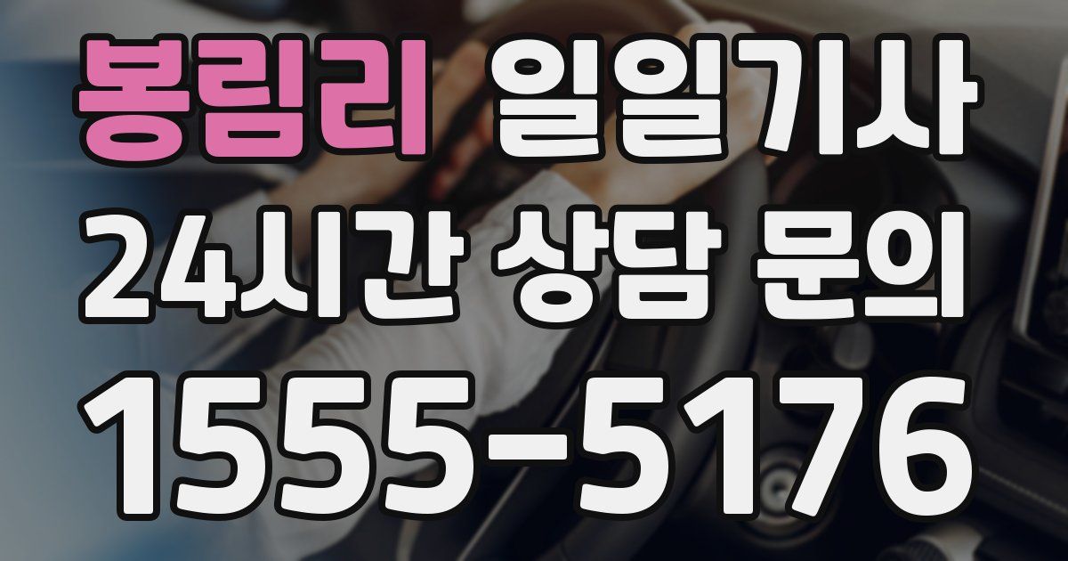 일일대리기사