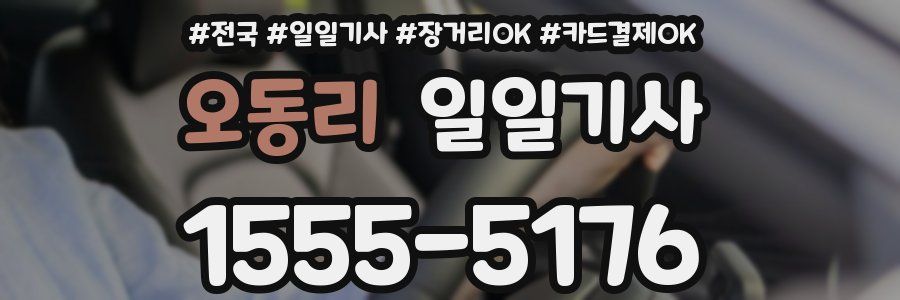 오동리 일일기사