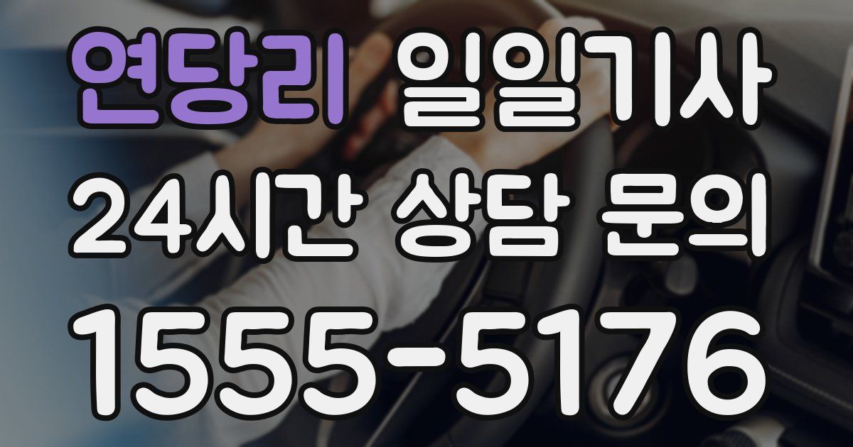 일일대리기사