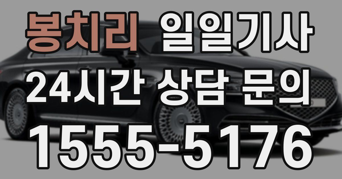 일일대리기사