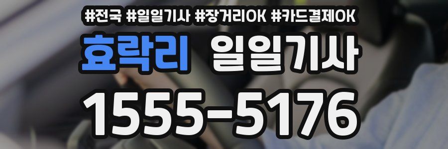효락리 일일기사