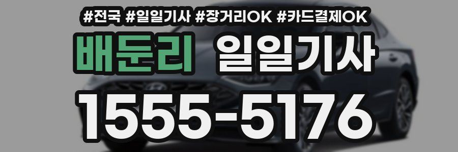배둔리 일일기사