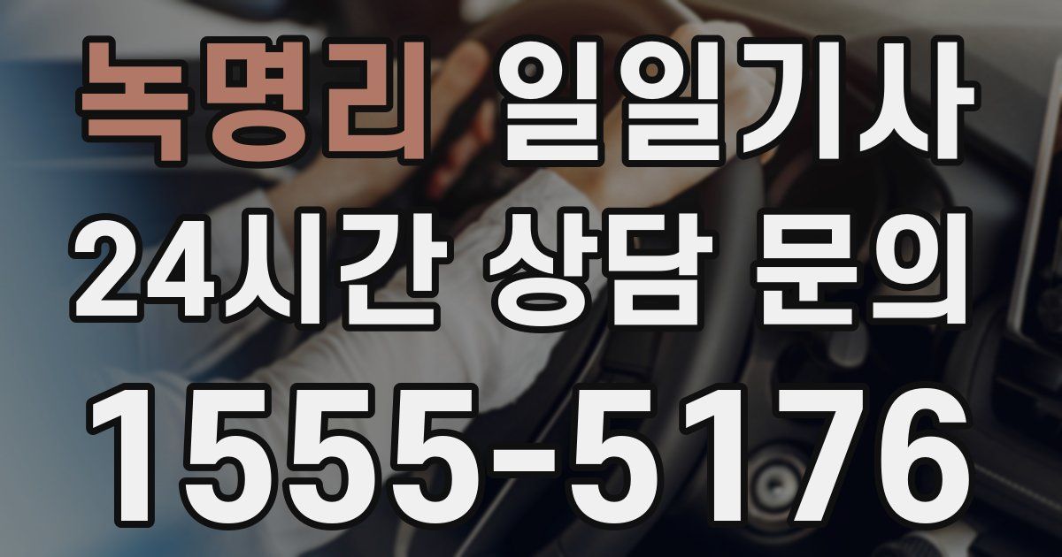 일일대리기사