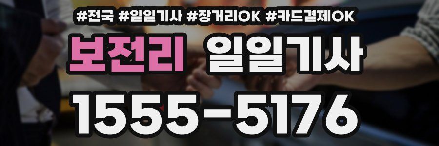 보전리 일일기사