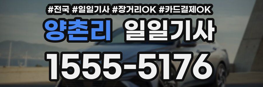 양촌리 일일기사