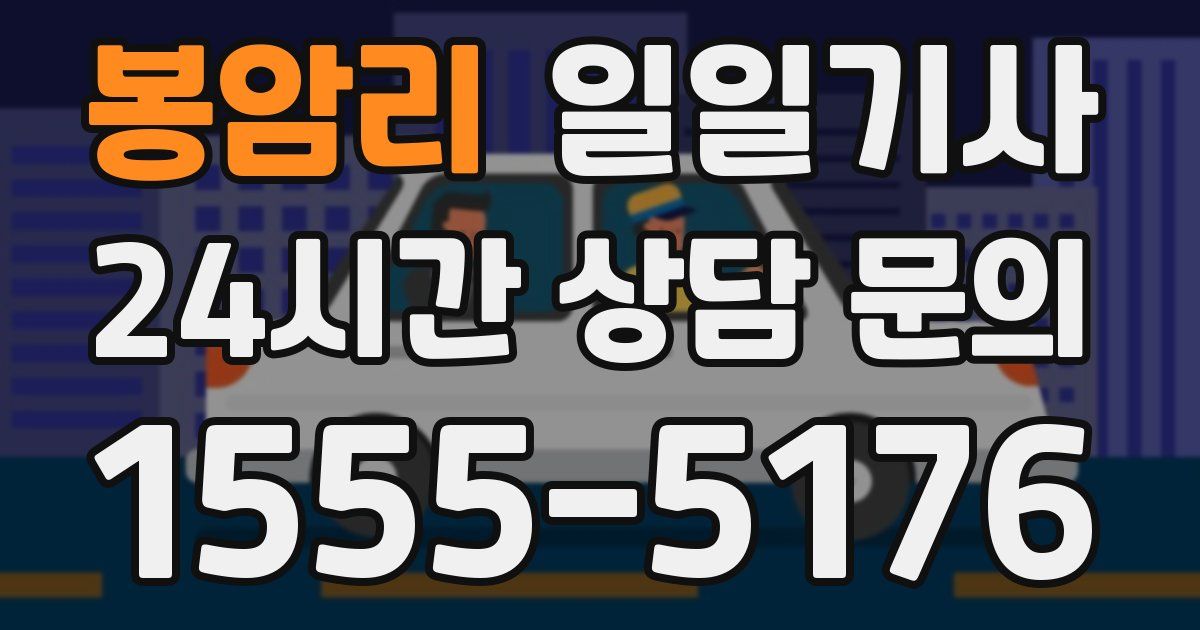 일일대리기사
