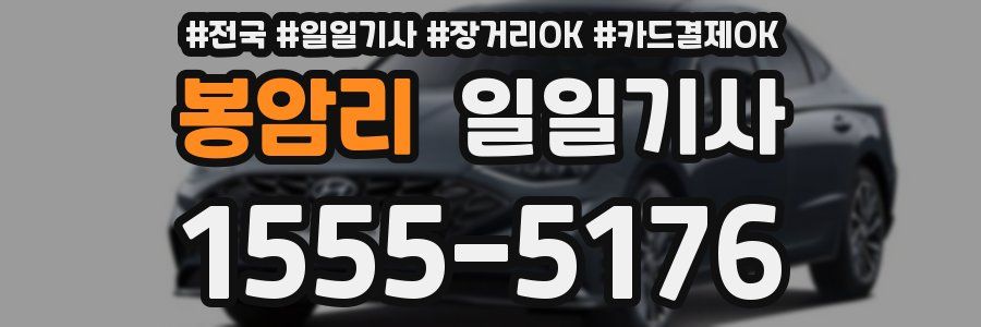 봉암리 일일기사