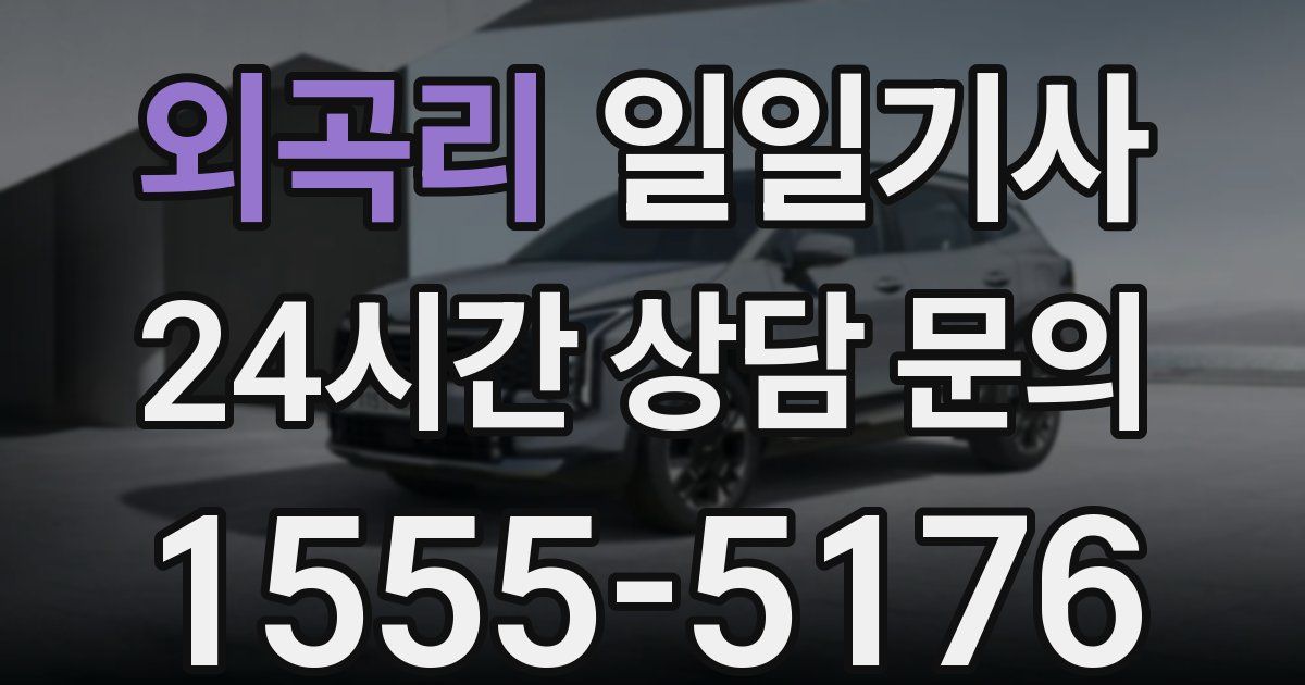 일일대리기사