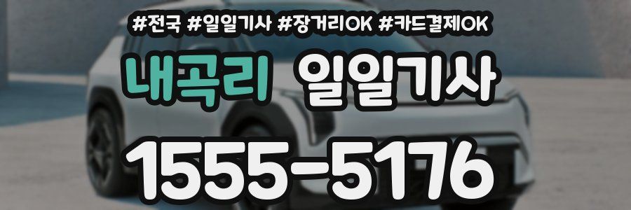 내곡리 일일기사