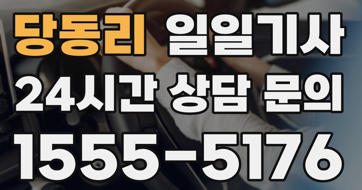 일일대리기사