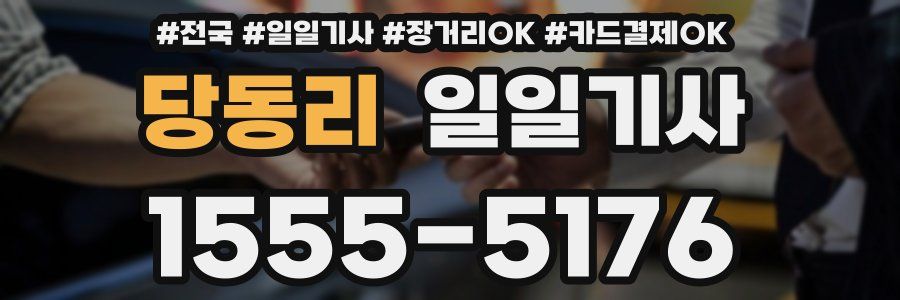 당동리 일일기사