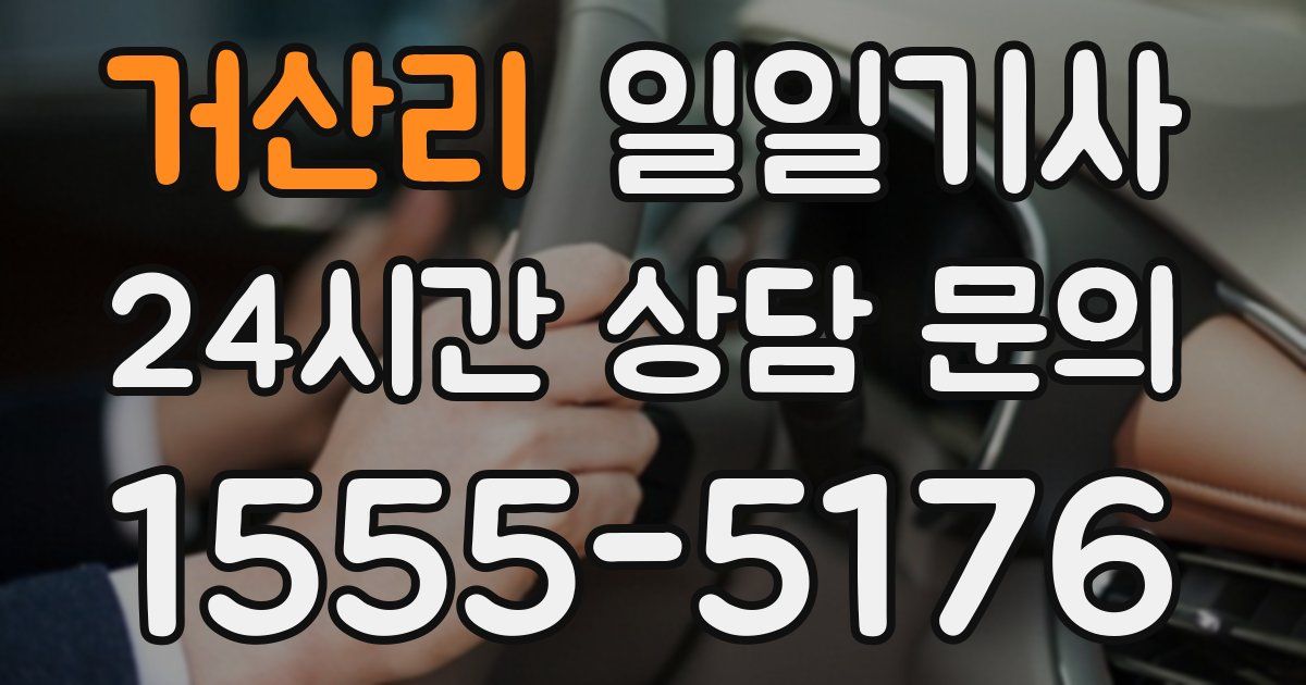 일일대리기사