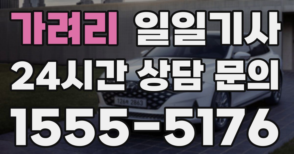 일일대리기사